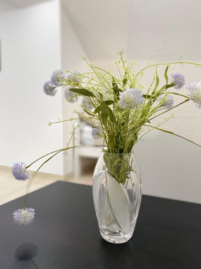 Apartma Azurre Postojna Εξωτερικό φωτογραφία